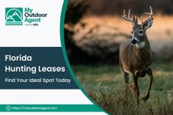 Florida Hunting Leases — Find Your Ideal Spot Today