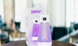 How To Be Happy At Zappify Reviews – Not!