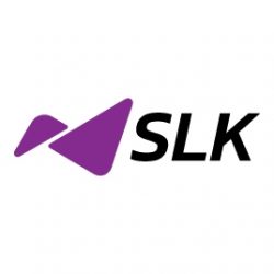 Business Consulting Services | SLK Software