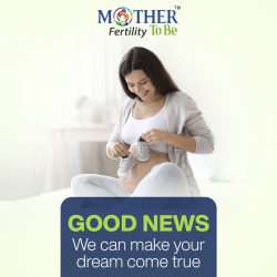 In Vitro Fertilisation | Best IVF Centre in Hyderabad | Madhapur – MotherToBe