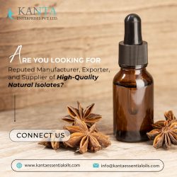 Top Natural Isolates at Kanta Essential Oils