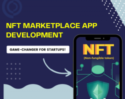 NFT Marketplace App Development for Startup Business