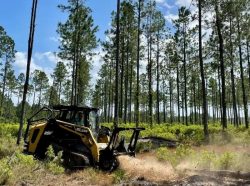 Expert Land Clearing Services in Pleasanton, Texas | Cedar Mulching
