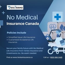 Explore No Medical Insurance in Canada with Vertex Insurance and Investments Inc.