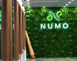 NUMO Cannabis – Edmonton’s Cannabis Dispensaries