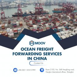Ocean Freight Forwarding Services in China