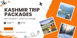 Best of Kashmir – 4 Days Tour Package: Unveil Paradise