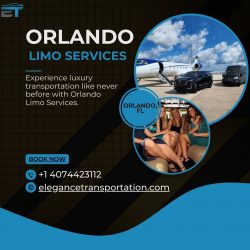 Orlando Limo Services