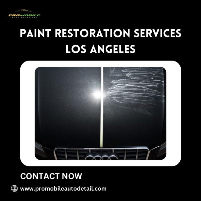 Paint Restoration Services in Los Angeles