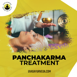 Experience Transformative Panchakarma at Uvas Ayurveda: Revitalize Your Body and Mind