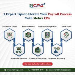 Payroll for Small Business? Elevate Your Payroll Process with Mehra CPA