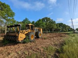 Professional Land Clearing Services in Murray, Georgia