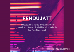 New Bollywood and Punjabi MP3 Songs Download 2024