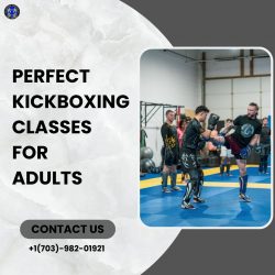 Perfect Kickboxing Classes for Adults
