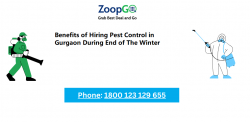 Benefits of Hiring Pest Control in Gurgaon During End of The Winter