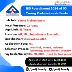 BIS Recruitment 2024: Apply for 03 Young Professional Positions