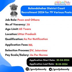 Bulandshahar Court 2024 Recruitment: Apply for 79 Various Posts