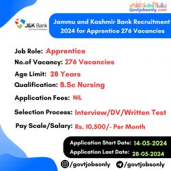 Jammu and Kashmir Bank 2024 Apprentice Recruitment – Apply Now