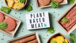 Meticulous Research Unveils Comprehensive Report on the Booming Plant-Based Meat Market