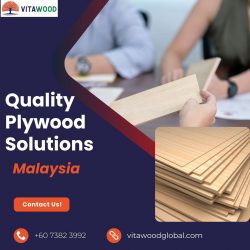 Top-Quality Plywood Solutions in Malaysia by VitaWood Global