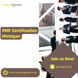 Advance Your Career with PMP Certification in Michigan