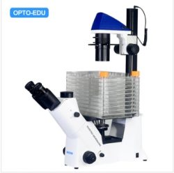 Inverted Cell Factory Microscope, Semi-APO, BF+PH