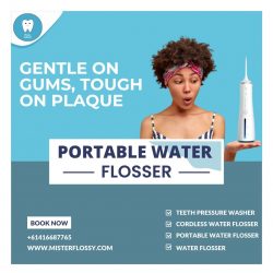 Portable Water Flosser