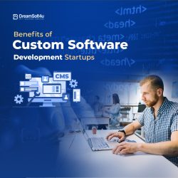 Advantages of Custom Software Development for Startups