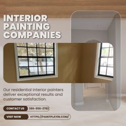 Premier Interior Painting Services by Paint Playin LLC