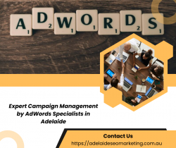Professional Google Adwords Services For Your Business