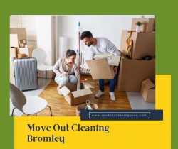 Professional Move Out Cleaning in Bromley