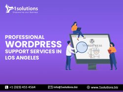 Professional WordPress Support Services in Los Angeles