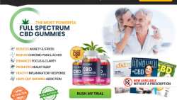 What Are The Health Effects After Using Prolife Labs CBD Gummies US?