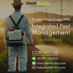 Protect Your Crops With Integrated Pest Management by Kheti Buddy