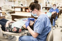Providing Expert Dental Assisting Programs