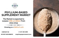 Psyllium-based Supplement Market Size, Share, Forecast till 2033: SPER market Research