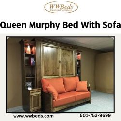 Queen Murphy Bed With Sofa