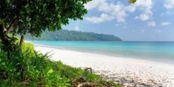 Radhanagar Beach: The Jewel of Andaman and Nicobar Islands
