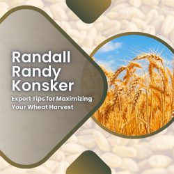 Randall Randy Konsker – Expert Tips for Maximizing Your Wheat Harvest