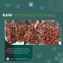 Raw Kitten Food for Sale