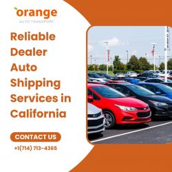 Reliable Dealer Auto Shipping Services in California