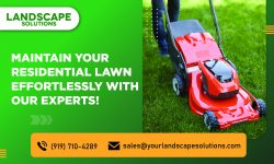 Achieve a Lush Lawn with Expert Residential Maintenance Services!