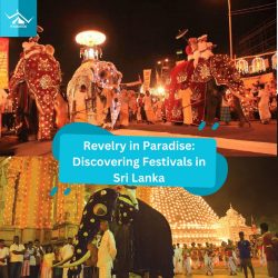Revelry in Paradise: Discovering Festivals in Sri Lanka