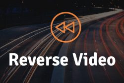 Unlocking Insights with Reverse Video Search: Track, Verify, and Discover