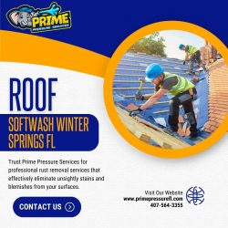 Roof Softwash Winter Springs Fl