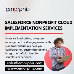 Salesforce Nonprofit Cloud Implementation Services