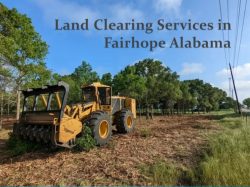 Land Clearing Services in Fairhope Alabama