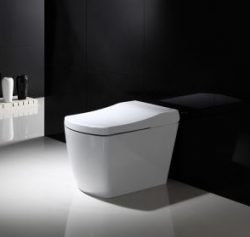 Smart Toilets and Mirrors
