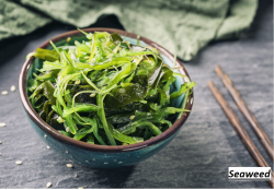 Meticulous Research Publishes Comprehensive Analysis on the Seaweed Market