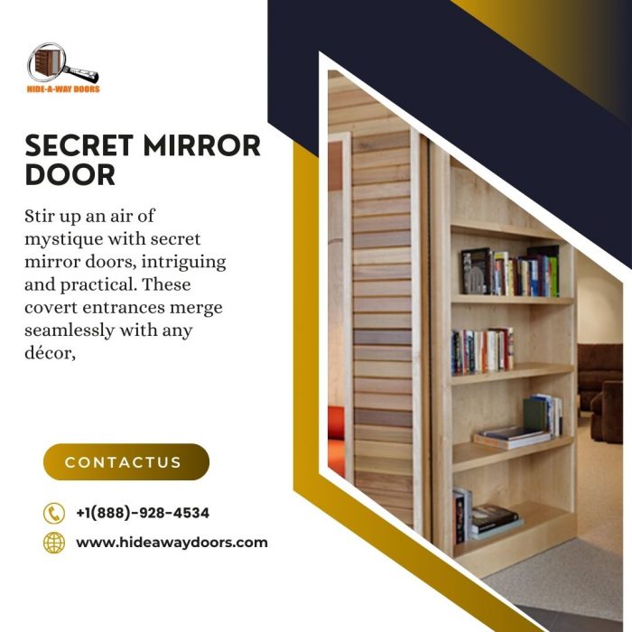 Secret Mirror Door